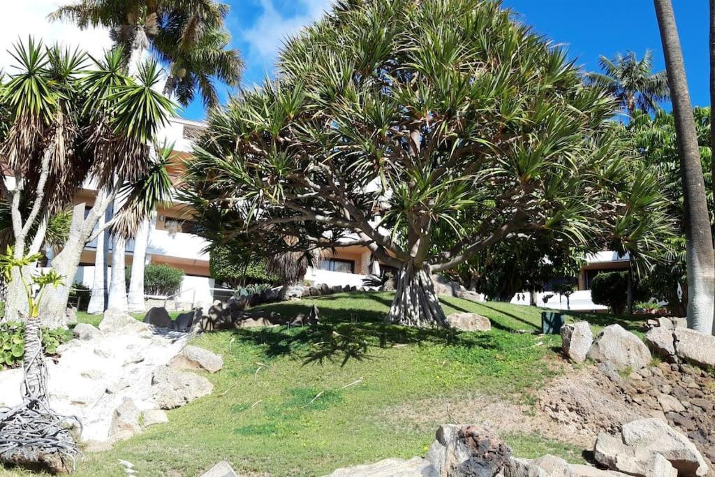 Apartment With Pool And Gardens Near The Coast San Miguel de Abona Luaran gambar