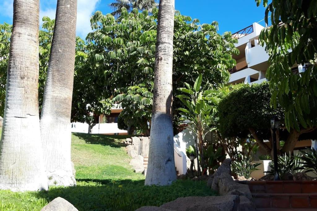 Apartment With Pool And Gardens Near The Coast San Miguel de Abona Luaran gambar